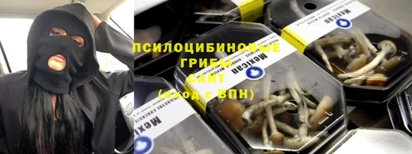шишки Алексеевка