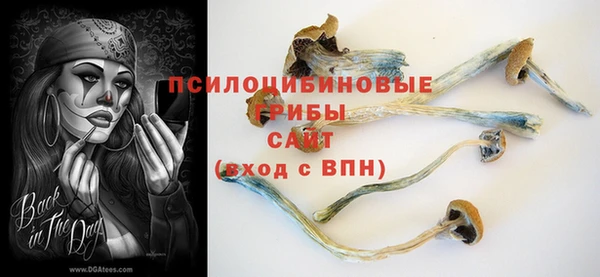 шишки Алексеевка