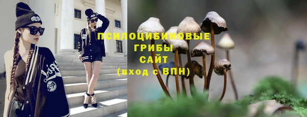 шишки Алексеевка