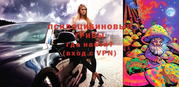 шишки Алексеевка