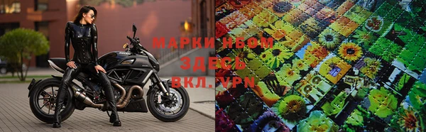 ГАЛЛЮЦИНОГЕННЫЕ ГРИБЫ Алексин