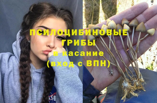 шишки Алексеевка