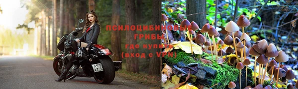 шишки Алексеевка
