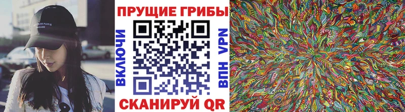 Галлюциногенные грибы прущие грибы  продажа наркотиков  Петровск 