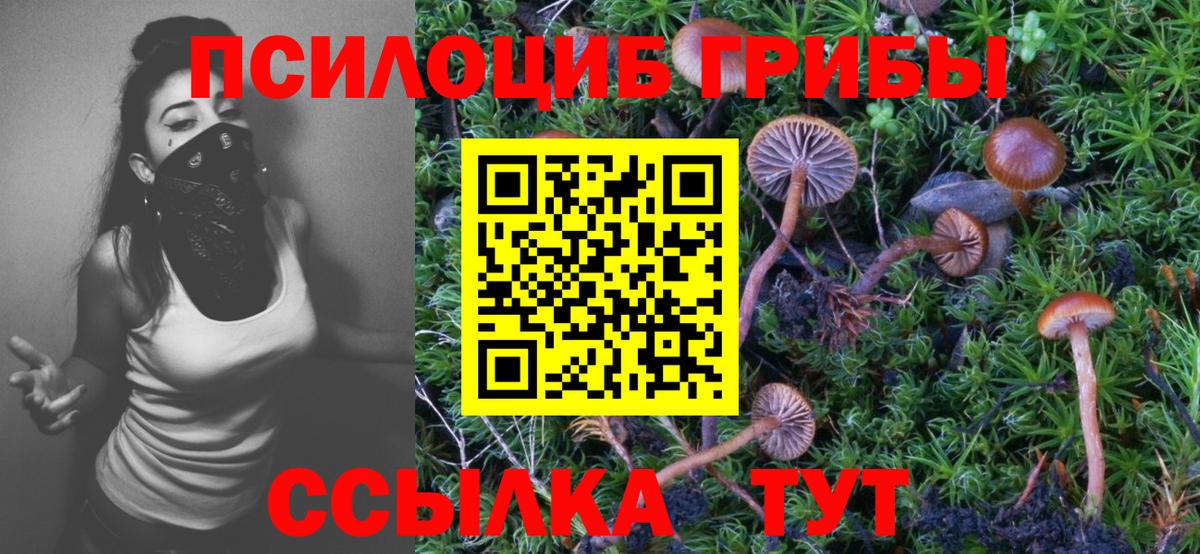 где продают   Галлюциногенные грибы Magic Shrooms  Вход с VPN  Петровск 