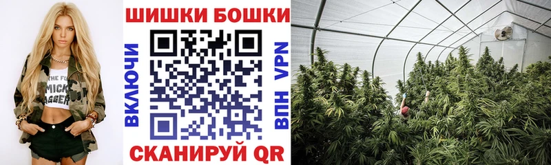 Бошки Шишки гибрид  Петровск 